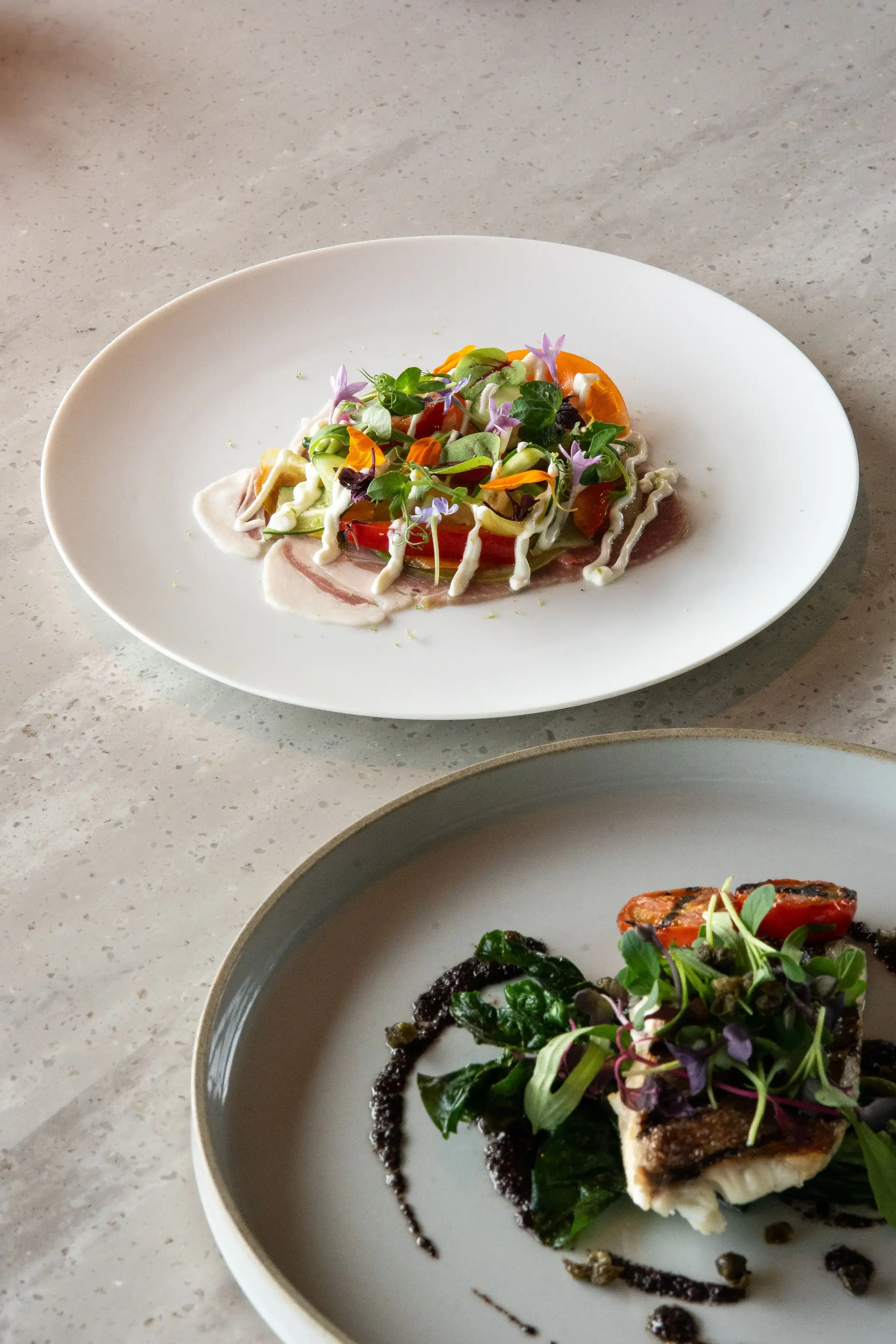 Artfully plated seasonal appetizer