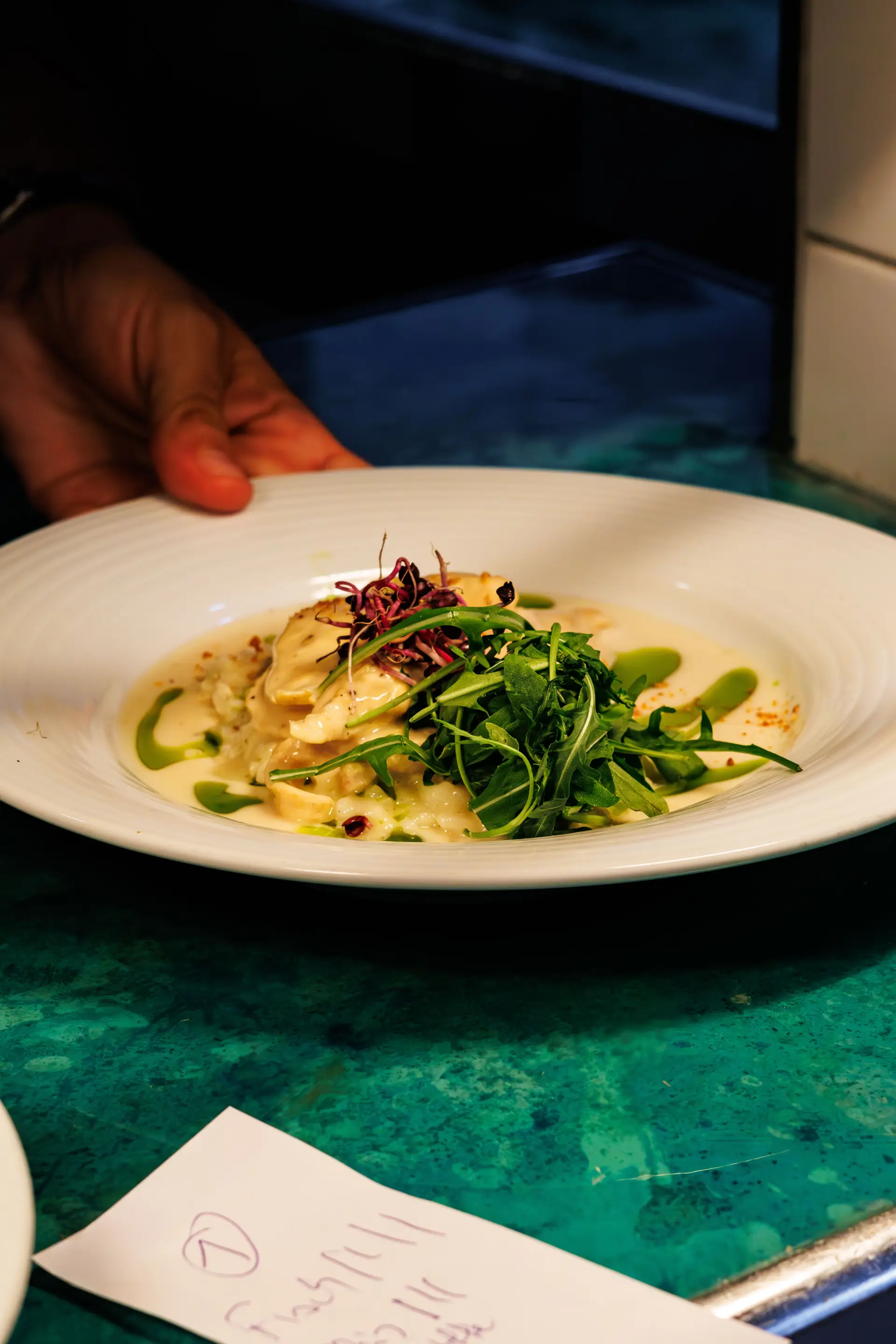 Coastal Snapper Plating